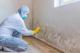 Why You Should Choose Our Mold Remediation Services in Tiltonsville, OH